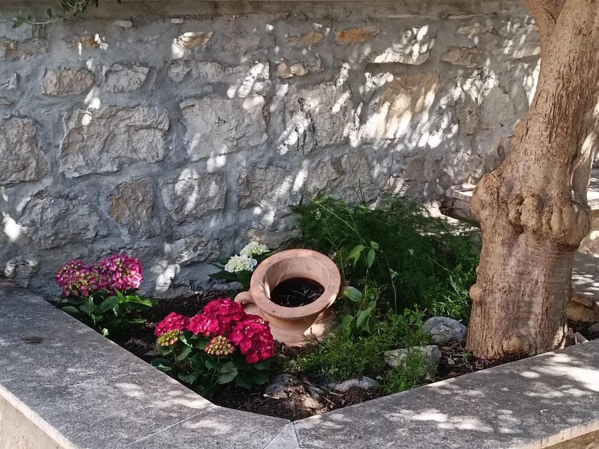 Diocletian Garden Centar Apartment Сплит Екстериор снимка